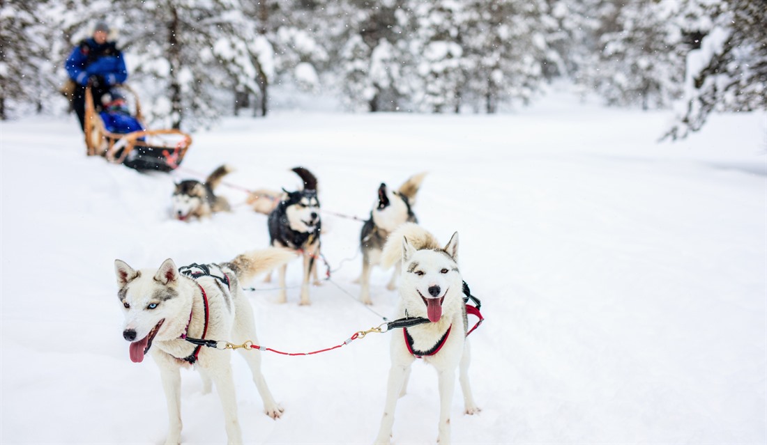 Five of the best winter activities in Finnish Lapland : Section 3