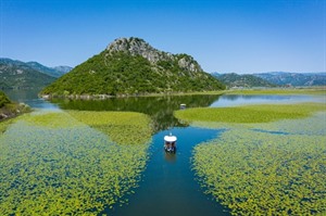 Boat tour of Skadar Lake with a visit to a family-owned wine cellar 2