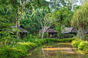 Sepilok Nature Lodge