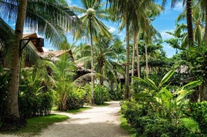 Siargao Island Villas