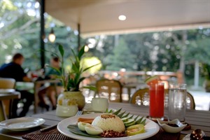 Utan Rainforest Lodge | Restaurant