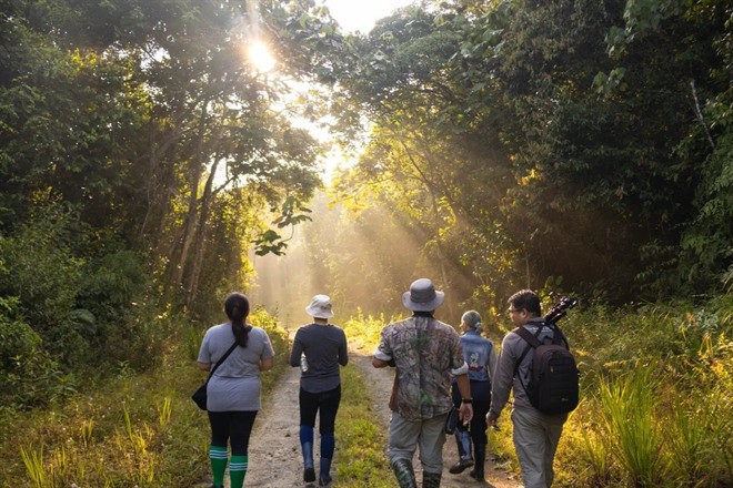 Borneo Birdlife