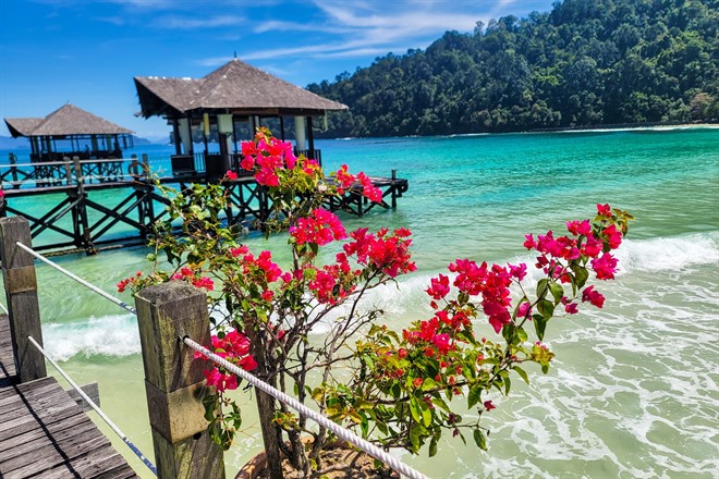 Flowers at Bunga Raya Island Resort, Gaya Island, Borneo, Malaysia