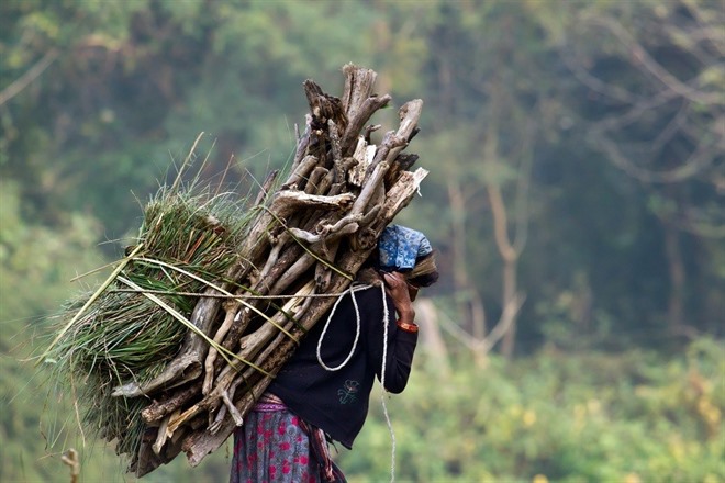 Chitwan National Park