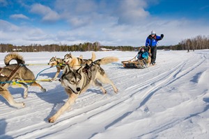 Husky safari