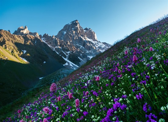 Culture & Cuisine of Armenia